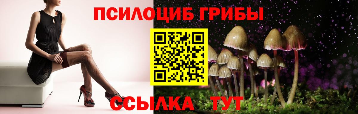Псилоцибиновые грибы MAGIC MUSHROOMS  Вход с VPN  Стрежевой 